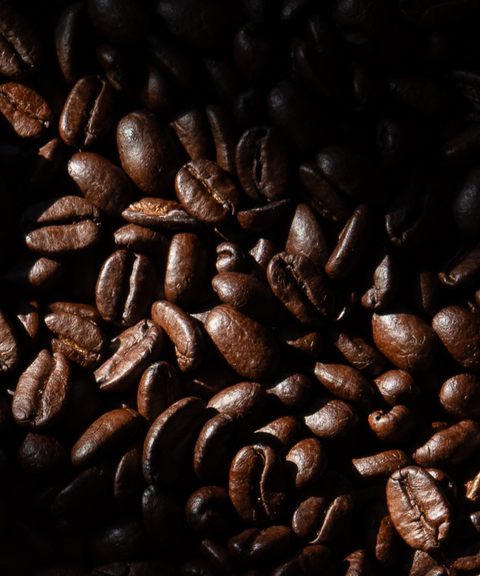 graines de cafe sisao 