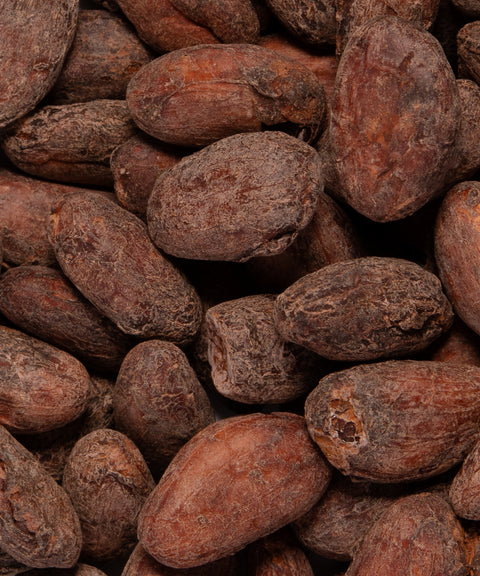 Fèves de cacao Arriba Nacional, Équateur