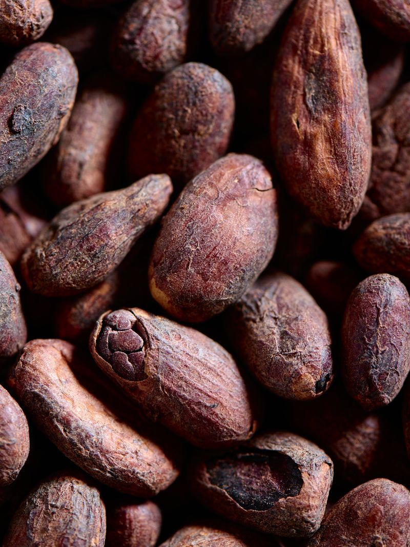 Le Cacao - Madagascar
