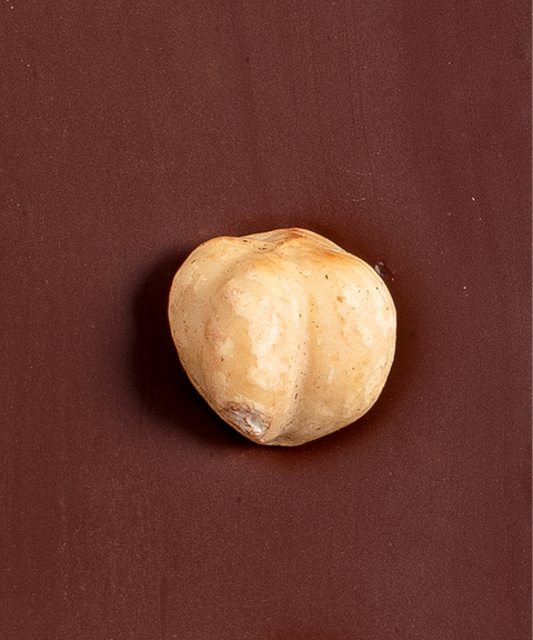 noisette sisao